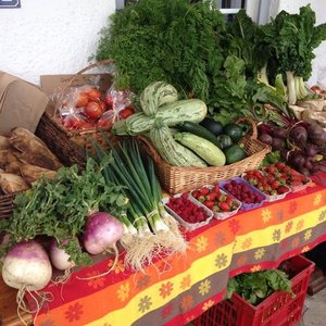 Graze Farmers Market - Wednesday Mornings